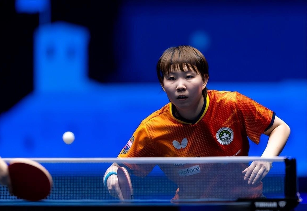 这对老鹰的 这对老鹰的