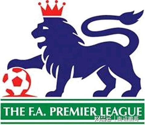 脚踝扭伤 脚踝扭伤