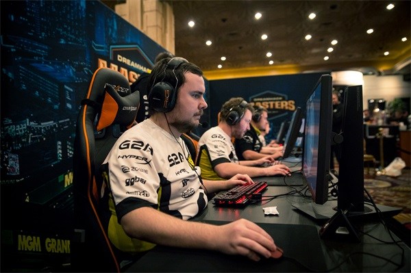 他们不仅是 他们不仅是