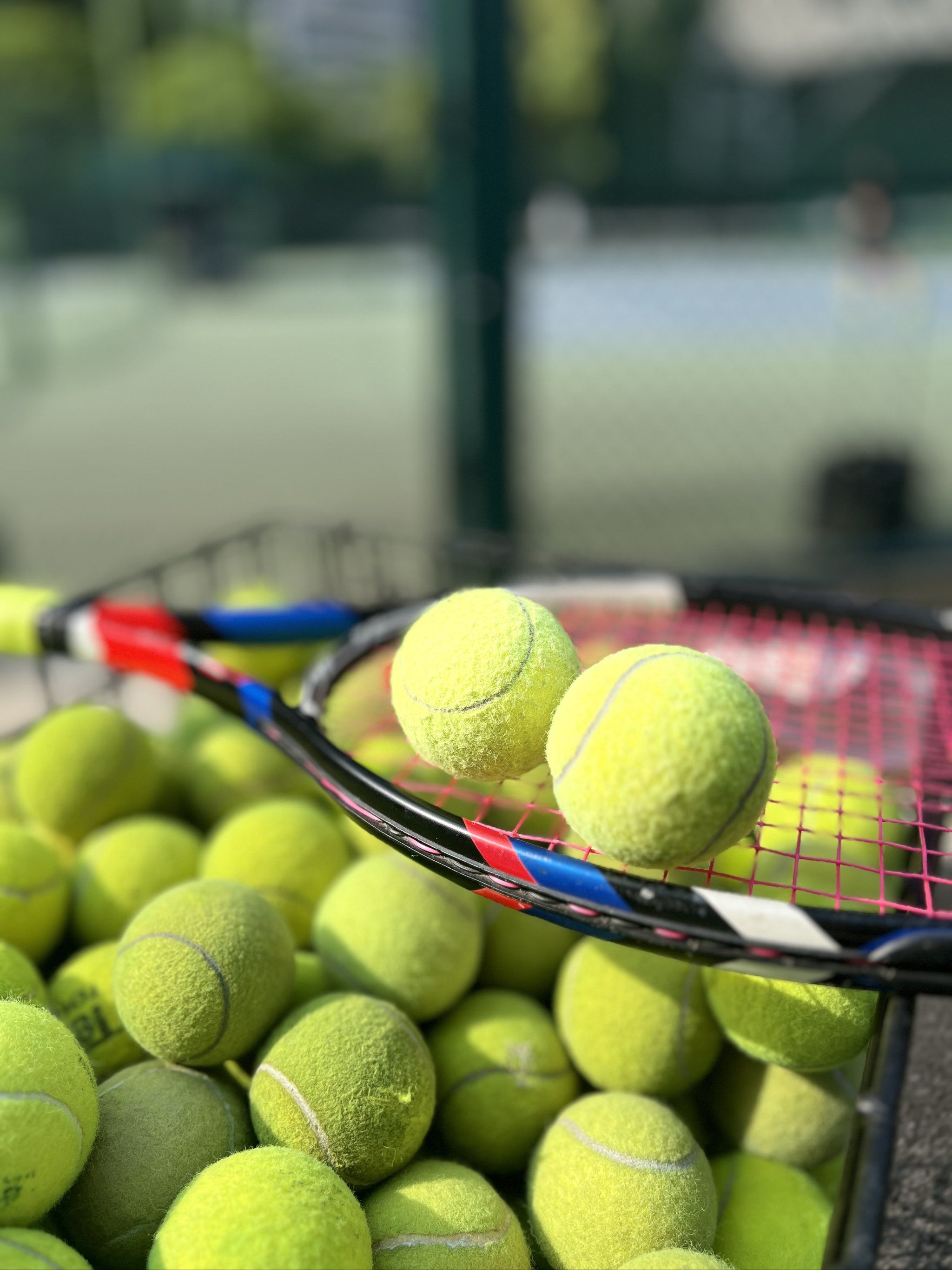 在英超进入 在英超进入